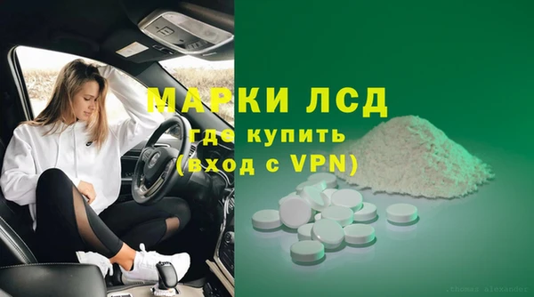 шишки Козельск