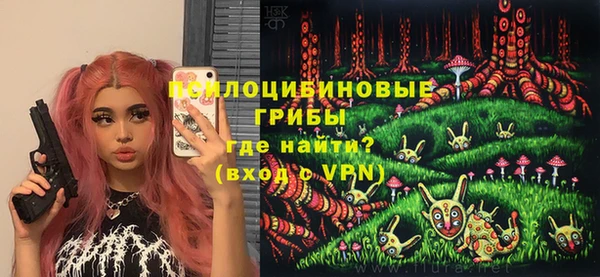 шишки Козельск