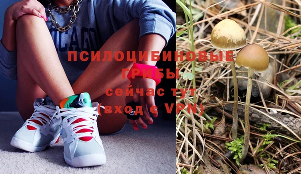 мяу мяу кристалл Козловка