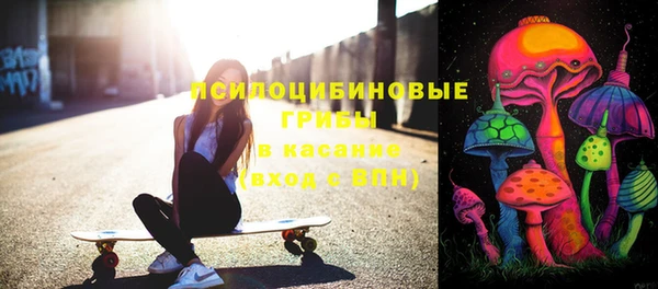 шишки Козельск