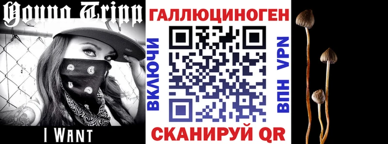 Купить где  Белорецк  Псилоцибиновые грибы Psilocybe 
